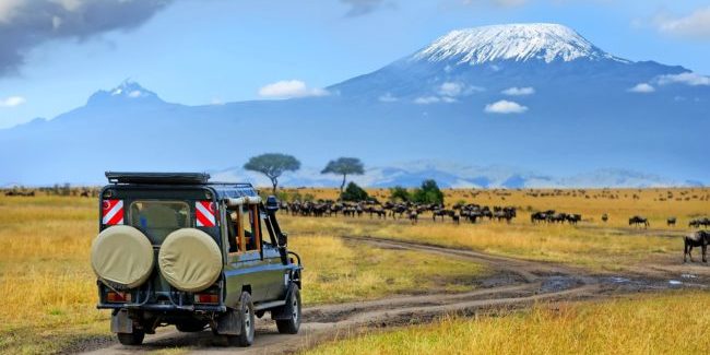Safari game drive with the wildebeest, Masai mara reserve in Kenya, Africa